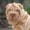 user2109655067589 - @viviennecarter - TikTok