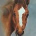 Vivienne Carter - Facebook