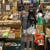 Vivienne wang - @vivienne_wang - TikTok