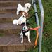 Vivienne Williams - Facebook