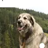 Ianis vlad buda Buda - @ianis.vlad.buda.b - TikTok