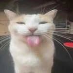 Vlad Ionescu - @vlaad_068 - Instagram