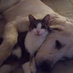 Vlad Ionescu - @vladionescu82 - Instagram