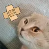 😼Нельсон😼 - @nelsonvlad2 - TikTok