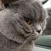 Vlad Nicolae - @vllad.nicolae - TikTok