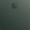 vladnicolae123 - @vladnicolae123 - TikTok