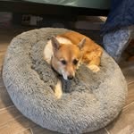 Vlada Markov - @willowflame334 - Instagram