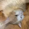 Vlada Markova - @vlada.markova8 - TikTok