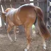 Vladimir Herrera - @vladimirherrera12 - TikTok