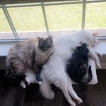 Vladimir, Pierre & Xavier - @vladimir_pierre_xavier - Instagram