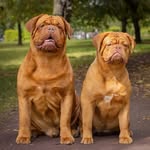 Владимир Васильев - @vladimir__vasilyev - Instagram