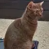Vladimir Vasilyev - @vladimirvasilyev5 - TikTok