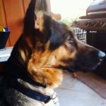 Magnum Von Collins - @_magnumvoncollins_ - Instagram