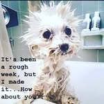 Von Phillips - @yvonne.sloan.902 - Instagram
