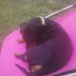 vonda allen small - @vondaallensmall - Instagram