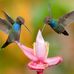 Vonda Brock - Facebook