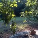 Vonda Bryan - @vondabryan - Instagram