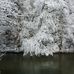 Vonda Bryant Mckinney - Facebook