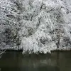vondabryantmckinn - @vondabryantmckinn - TikTok