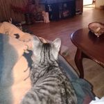 Vonda Clark - @vondaclark1943 - Instagram