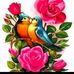 Vandia Kris - Facebook