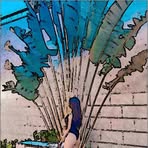 Vonda Fleming - Facebook