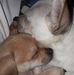Vonda Harmon - Facebook