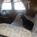 vonda hill - @hill.vonda - Instagram