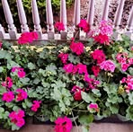 Vonda Hoffman - Facebook