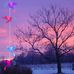 Vonda Murray - Facebook