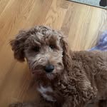Vonda Parrish Hall - @vondaphall - Instagram