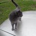 Vonda Potts - Facebook