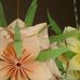 Vonda Ramirez - Facebook