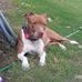 Vonda Randle - Facebook