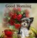 Vonda Ray - Facebook