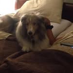 Vonda Richards - @vonda.richards.14 - Instagram