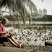 Chu Van Thoai - Facebook