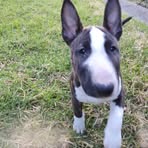Vonnie Bishop - Facebook