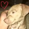 zavontejackson - @zavontejackson - TikTok
