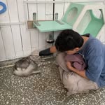 Vũ Phạm Bình An ♡ - @vuphambinhann - Instagram