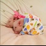 Vuong Le - @vuongle2100 - Instagram