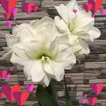 Vuong Mai - @vuongmai405 - Instagram