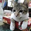 Vuong Mai - @vuong.mai32 - TikTok
