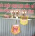 Vương Phan - Facebook