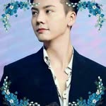 Trần Vỹ Đình - @vydinh.tran - Instagram