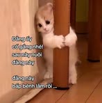 Vy Dinh - Facebook