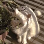 Vy Phan - Facebook
