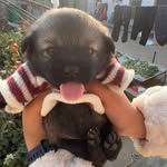 Vy Trinh - @trinhvy.weiwei - Instagram