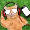 🅰🆆🅰🅽 🅷🅸🆃🅰🅼 - @wawang2993 - TikTok