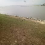 Waco Dendy - Facebook
